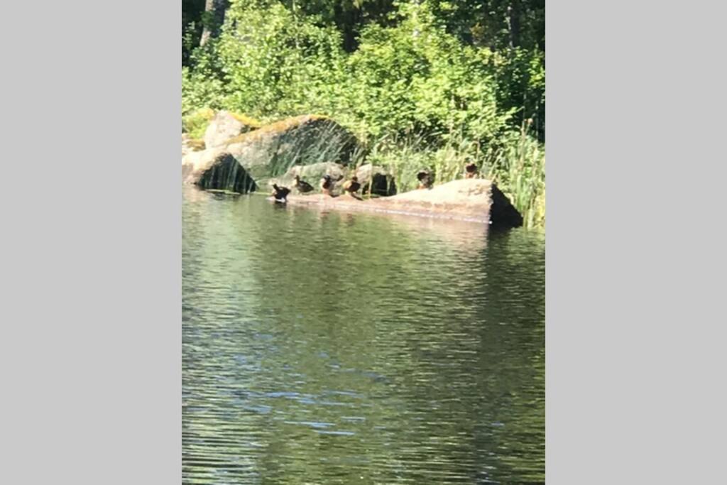 Vacker Hus I Naturen Froseke Bagian luar foto